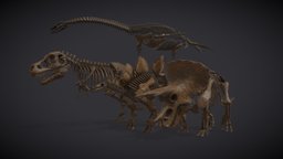 Museum Of Natural History | Dinosaurs skeleton, vr, triceratops, museum, dinosaurs, jurassic, stegosaurus, tyrannosaurus-rex, jurassicpark, plesiosaurus, natural-history-specimens, naturalhistorymuseum, jurassicpark-tyrannosaurus, naturalhistorycollection