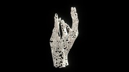 Hand Sculpture sculpt, printing, artwork, palm, arm, holes, creative, touch, arms, hands, sponge, decor, print, artistic, printable, cheese, swiss, centerpiece, 3d, art, decoration, sculpture, hand, caress
