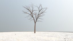 Kastanie 8 Meter tree, grass, winter, baum, game-ready, blender-3d, chestnut, kastanie, vis-all-3d, sommer, baum-module-4, leaf-tree, 3dhaupt, low-poly, lowpoly, blender3d, noai, rosskastanie, european-horse-chestnut