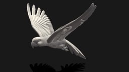 Parrot bird, high, parrot, print, statue, poly, sculpture, interior