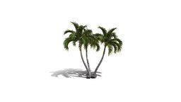 Realistic HD Christmas palm (28/35) trees, tree, plant, forest, plants, palm, asia, outdoor, foliage, nature