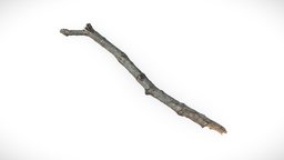 Wooden Stick tree, wooden, forest, garden, stick, prop, ground, debris, branch, woods, twig, props-assets, realitycapture, photogrammetry, wood