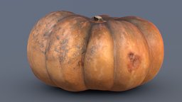 Cinderella Pumpkin scene, fruit, raw, orange, photorealistic, jackolantern, yellow, vegetable, squash, gourd, cinderella, trickortreat, october31, photogrammetry, scan, decoration, halloween, pumpkin