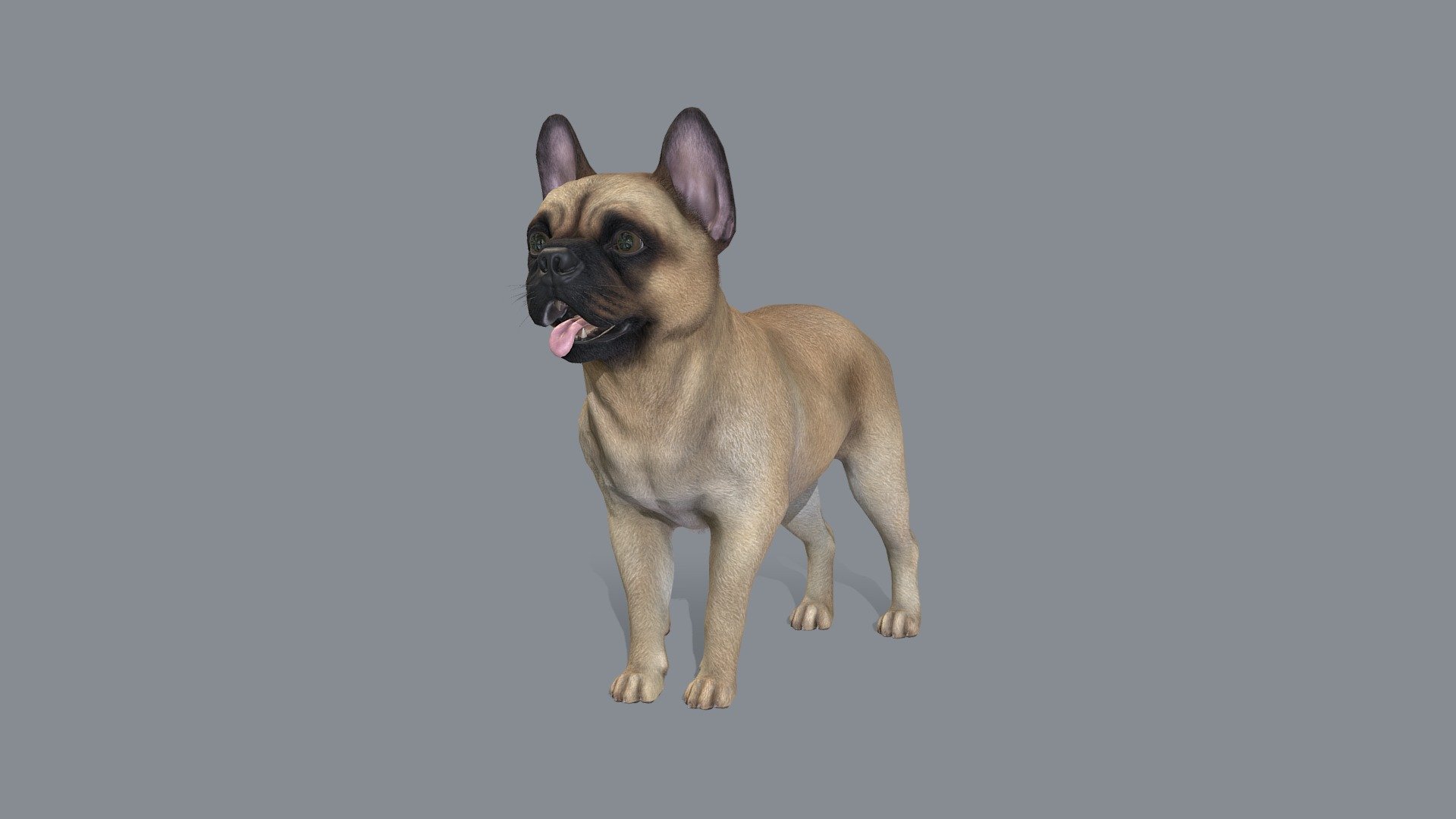 All files with animations are in the attached archive.

The attached archive contains:

4 color options

IP/RM animations

FBX, OBJ, Blend file formats

If you have any questions, write to me by mail 3d model