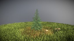 Spruce Tree tree, plant, terrain, evergreen, vegetation, nature, needle, game-ready, spruce, fir, blender-3d, conifer, vis-all-3d, 3dhaupt, software-service-john-gmbh, low-poly