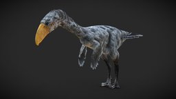 Terror Bird (Phorusrhacos) bird, birds, games, videogame, animals, npc, paleontology, nature, extinct, theropod, game-ready, avian, video-games, paleoart, prehistory, iceage, game-asset, theropoda, game-character, wwb, phorusrhacos, aves, terrorbird, rigged-character, rigged-model, cenozoic, animalia, character, asset, game, gameasset, animal, prehistoric, rigged, gameready, riggedcharacter, phorusrhacidae, extinctanimals, gastornis, "walkingwithbeasts", "rigged-animal", "extinct-animal"