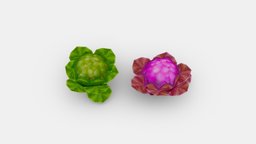 Cartoon Cauliflower -vegetables food, leaf, eat, farm, nature, vegetable, cabbage, salad, cauliflower, lowpolymodel, handpainted