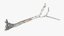 Withered Broken Tree with Roots plant, forest, log, photorealistic, broken, junk, debris, realistic, moss, stump, swamp, weathered, rotten, root, decayed, beaver, burned, snag, scan, wood, decoration