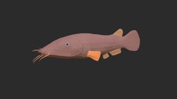 Electric Catfish fish, fishing, river, underwater, animals, lake, ocean, aquarium, aquatic, sealife, oceanlife, fish-cartoon, electric-catfish, low-poly, animal, animated, simple, sea