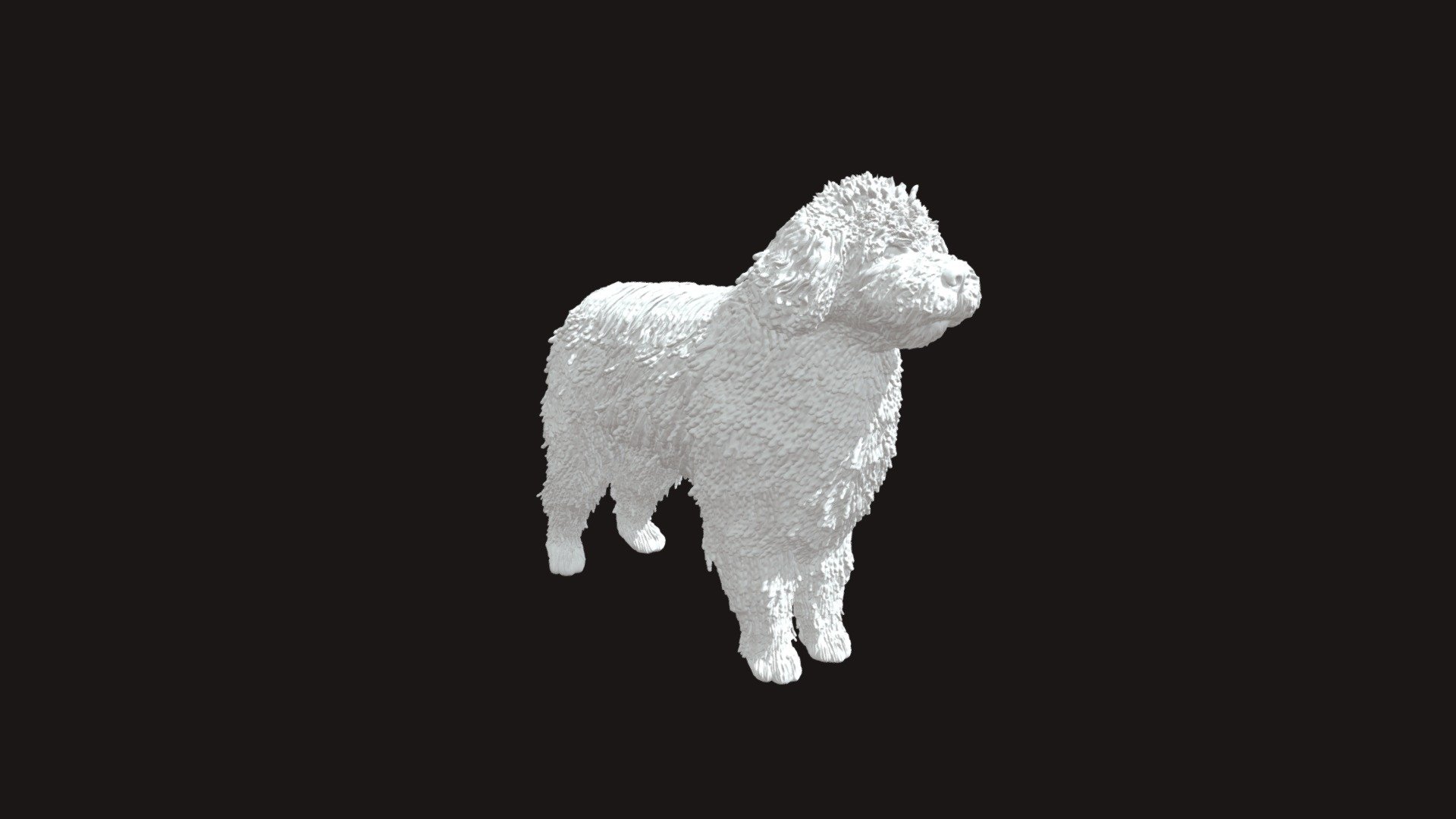Water dog hi-poly model for 3D printing

The set includes 2 files: STL and OBJ formats

height 100mm

width 45mm

length 123mm

It is recommended to use support during printing

This model has been tested on an FDM 3D printer

No bugs were detected during 3D printing

This modelconsist of 1600000 triangles
 - Water Dog - Download Free 3D model by Stereocat (@andrey.giun) 3d model