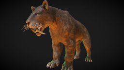 Smilodon cat, paleontology, smilodon, naturalhistory, sabertoothedcat, fossildiscovery, pleistocenepredator, prehistoriccarnivore