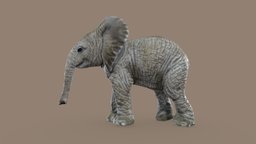 Sketchfab #RCToyChallenge realitycapture, rctoychallenge