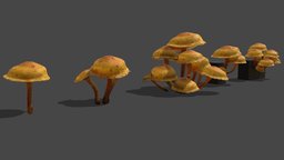 Mushroom_12 plant, forest, mushroom, fungus, biology, environement, props, nature, fungi, champignon, foret, mycology, environment-assets, mycelium, agisoft, asset, blender, lowpoly, scan, gameready, noai
