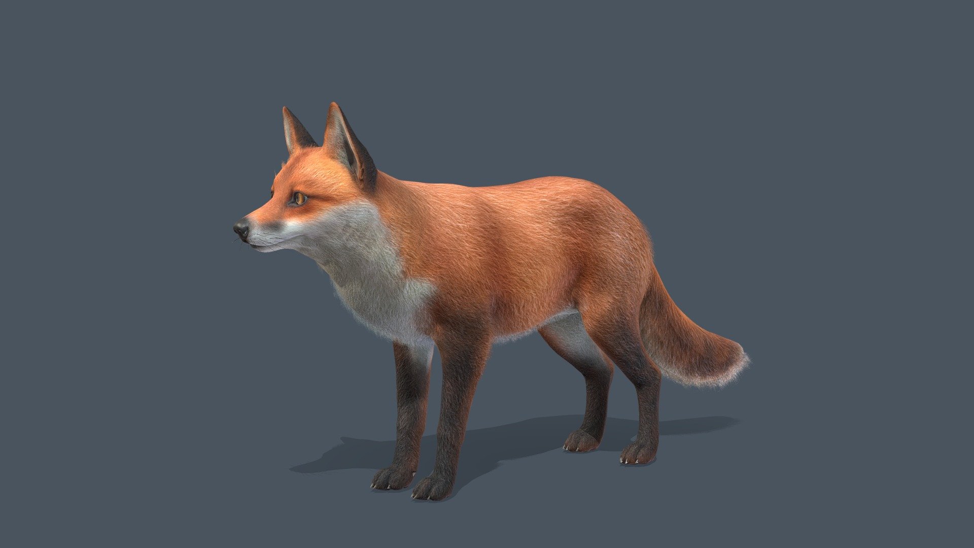 All files with animations are in the attached archive.

The attached archive contains:

3 color options 90 +IP/RM animations FBX, OBJ, Blend file formats

If you have any questions, write to me by mail 3d model