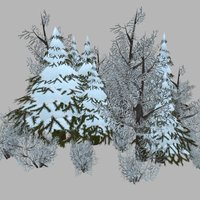 Trees 