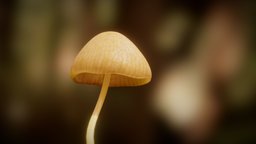 Mushroom plant, mushroom, procedural, fungi, blender