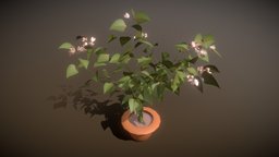 Begonia tree, green, modern, flower, prop, decorative, pink, bush, growfx, 3dsmax