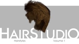 HairStudio Vol.01 short, hair, modern, style, full, fashion, hero, realtime, barber, classic, stylish, young, realistic, old, head, woman, men, optimized, thin, messy, straight, wig, haircut, haircards, styling, hairstyle, tokomotion, short-hair, trendy, character, game, pbr, military, female, male, villain, gameready, tonsure, thinning, "receding", "hairstudio", "hairbuilder"