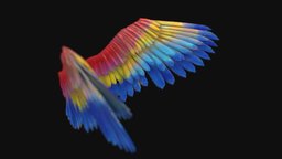 Parrot wings bird, wings, parrot