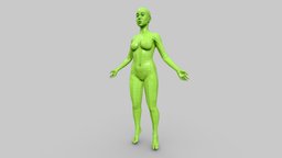 Female Anatomy body, anatomy, basemesh, study, , realistic, woman, retopologized, lowpoly, female