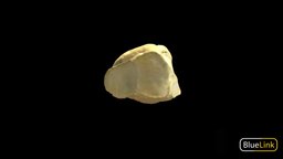 Cuboid skeleton, anatomy, cuboid, university-of-michigan, bones, bluelink