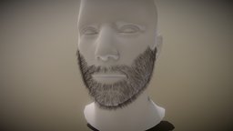 Facial Hair Short Beard face, hair, base, style, hombre, prop, fashion, unreal, beard, head, facial, bearded, unrealengine, hairy, haircut, short-hair, unity, unity3d, asset, man, male, facial-hair, short-beard