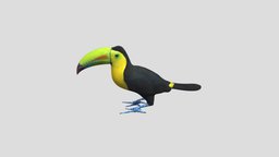 Tucán ave, pajaro, tucan, blender3d, animal