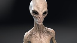 Grey Alien planet, humanoid, grey, ufo, extraterrestrial, alien, et, grey-alien, roswell, extra-terrestrial, scifi, creature, space, spaceship, noai