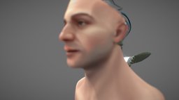 Pseudonimbus cpu, chracter, cyborg, android, head, blender-3d, substance-painter, sci-fi, human, robot