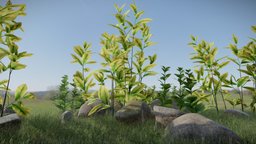 Plants Scene Free! grass, plants, rocks, vegetation, nature, foilage, blender-3d, gamereadyasset, plants-nature, grasspack