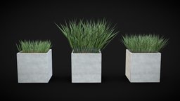 Grass Box Street Pack A1 plant, grass, plants, exterior, flowers, shrub, pack, ready, vegetation, bush, unity, game, low, poly, free, street