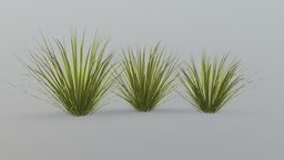 Long Grass tree, plant, landscape, tall, grass, wild, long, natural, leaf, vegetation, nature, blender, pbr, leaves, ue5