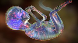 Android embryo (original concept) cyborg, android, alien, fetus, embryo, sci-fi, creature, womb