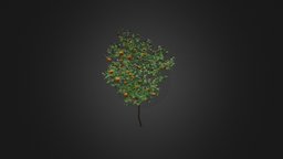 Orange Tree with Fruits 3D Model 3.4m tree, plant, fruit, orange, orchard, vegetation, foliage, farm, nature, citrus, agriculture, leaves