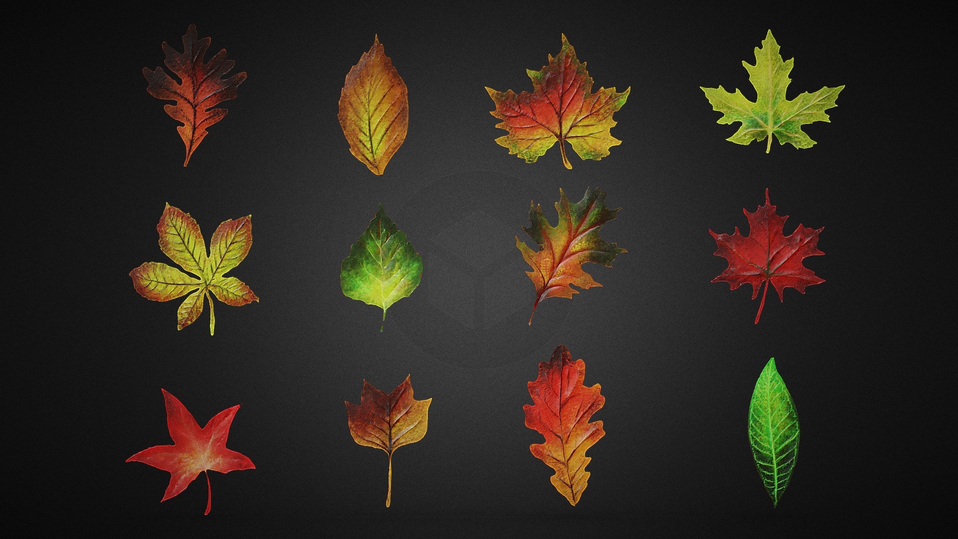12 leafs pack with vertex paint texture and crease.
.
All models are ready to be modelled and used as needed.
.
UV unwrap - YES - 12 - Leafs - Pack - 3D model by Paul-Cristian Muresan (Ninja.SYS) (@Ninju00sys) 3d model
