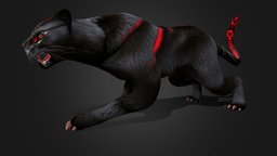Black Panther_A2 animals, panther, blackpanther, character, animation, animated, rigged