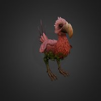 Bird 
