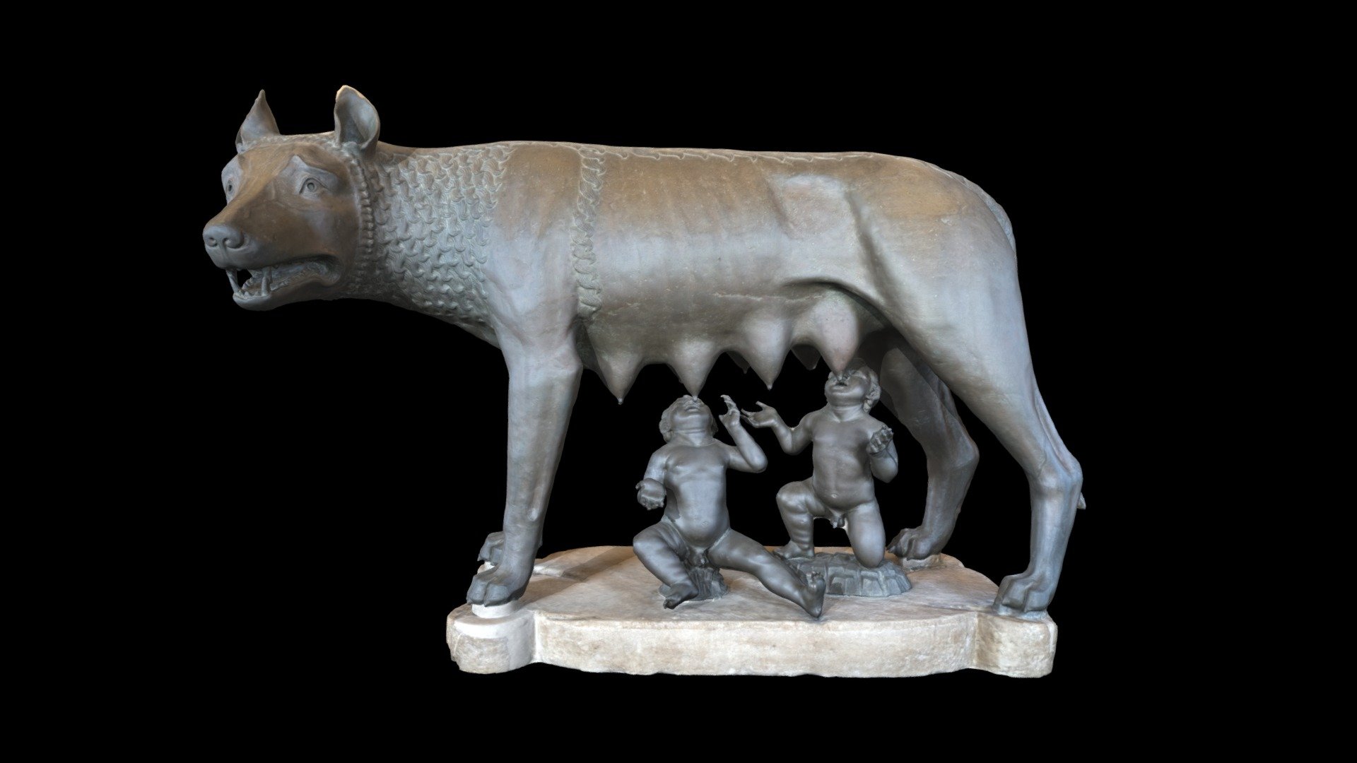 The Capitoline Wolf (Lupa Capitolina in Italian) is a bronze sculpture depicting a scene from the legendary founding of the city of Rome.

The sculpture shows a she-wolf suckling the mythical twin founders of Rome, Romulus and Remus. According to the legend, when King Numitor, grandfather of the twins, was overthrown by his brother Amulius, the usurper ordered them to be cast into the Tiber River. They were rescued by a she-wolf that cared for them until a herdsman, Faustulus, found and raised them.

The sculpture was long thought to be an Etruscan work (the Italic peoples who were defeated and finally absorbed by the Romans in the 1st century BCE). However, radiocarbon dating suggests it was possible that the bronze was cast sometime 1000-1200 CE. The twins were added in the 1400s, likely by the artist Antonio del Pollaiuolo 3d model