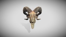 goat skull GAMEREADY horns, goat, demon, devil, animals, cranium, buck, mammal, fiend, old, head, horned, satan, salamander, nickelodeon, hellhound, baphomet, braincase, satanic, pericranium, satanism, pbr, evil, hegoat