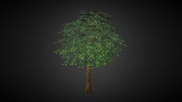 Tree trees, tree, green, 3d, lowpoly, model