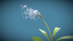 Dandelion in the Wind plant, wind, flower, spring, vegetation, fleur, nature, pissenlit, dandelion, blender, fly, animated, dandelioninthewind, noai