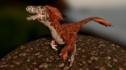 Feathered Raptor animals, raptor, creatures, dinosaurs, jurassic, deinonychus, theropod, feather, wildlife, paleoart, creaturedesign, dromaeosaurus, feathered, character, 3d, blender, creature, digital, animation, prehistoric, dinosaur, dino, theropods, noai, dromaeosauridae, antirrhopus