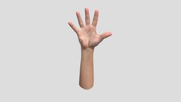 Retopologized 3D Hand Scan Jake Perry retopology, retopologized, 3dhand, 3d, scan, 3dscan