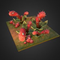 Red Bulb Plant 