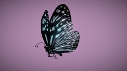 Butterfly Blue Tiger insect, tiger, bug, wings, butterfly, bugs, animated, blue, rigged, bugs-life, tirumala, limniace, hamata