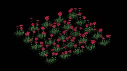 Aster 15 SEEDS tree, plants, realtime, summer, fresh, realistic, tags, nature, aster, prairie, vegitation, asset, plants-nature, noai