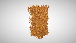 Fagus sylvatica Fall green, plant, forest, plants, orange, garden, fagus, wild, leaf, yellow, nature, fall, bush, autumn, hedge, disign, sylvatica