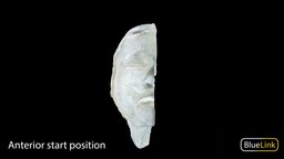 Head and Neck Hemisected Right eye, school, anatomy, study, college, umich, humanbody, science, head, medicine, anatomy-human, medical, human, medicalschool, hemisected, medicalstudnet