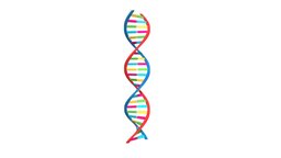 DNA big, education, dna, science, colors, chains, bases, strand, adenine, thymine, cytosine, guanine, maya, animation, polynucleotide, nitrogenous