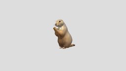 Prairie Dog animals, animation